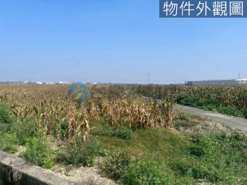 台南土地農地-鹽水區大埔段雙面臨路2.29分農地