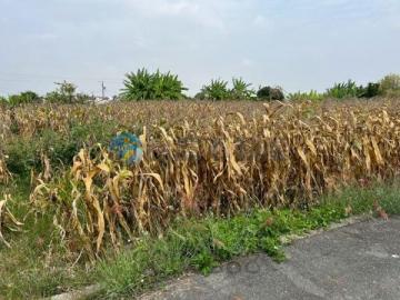 台南土地農地 - 獨家-新營區姑爺雙面路乙建109