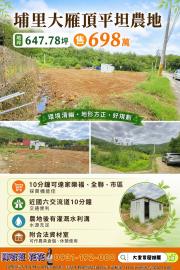 大里買屋推薦 埔里大雁頂平坦農地