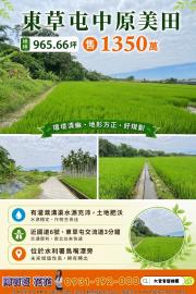 大里買屋推薦 東草屯中原美田