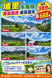 大里買屋推薦 埔里牛尾段雙面臨路優質農地