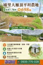 大里透天店面 埔里大雁頂平坦農地