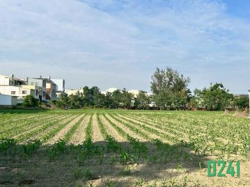 鹽水715福吉8米路豪宅建地 ☎️賞屋290-6660