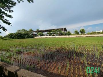 歸仁大同富藏地288坪增值寶地☎️賞屋290-6660