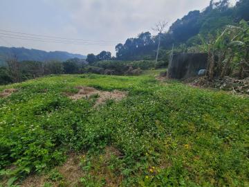 東勢農地買賣 公老坪石岡下坑巷建地 