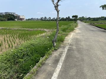 桃園房地通 新屋十五間段十五間小段農地