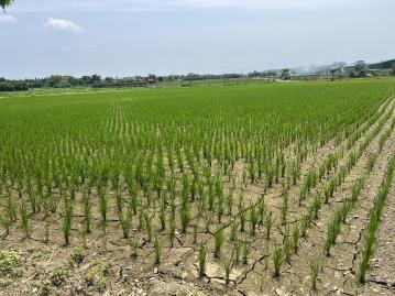 桃園房地通 新屋十五間段十五間小段農地
