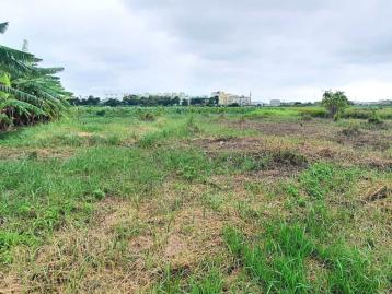 佳里區延平段農建地773坪 安平房仲推薦