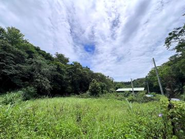 竹南房仲推薦 寶山國小旁大坪數休閒農地【找多喜看房買房去】