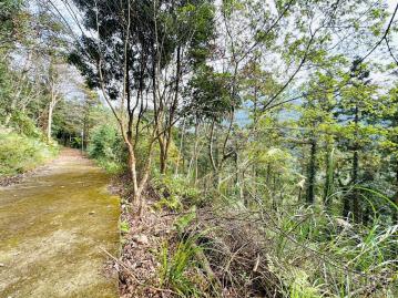 竹南房仲推薦 南庄社區型休閒景緻林地(A)