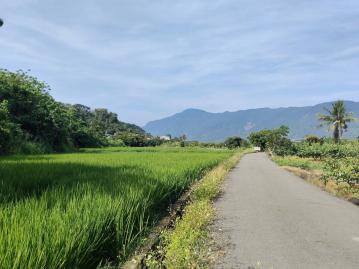 美濃買房買地  六龜新寮153萬/分 農地/底於同地區180萬/分