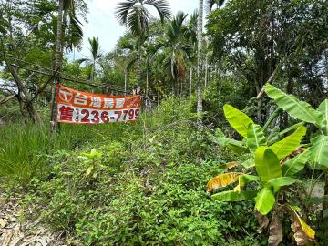 雲林縣古坑鄉大片農林地