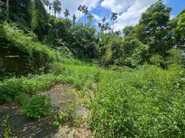 嘉義房屋仲介 竹崎龍山派出所旁近1甲農地