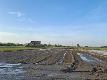 溪口游厝方正農地