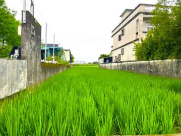 宜蘭購屋小巢 ｜ 冬山急售珍珠小農地
