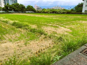 宜蘭購屋小巢 ｜ 宜蘭市環東304老農農地①