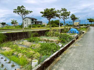 宜蘭購屋小巢 ｜ 宜蘭市三角快樂小農地