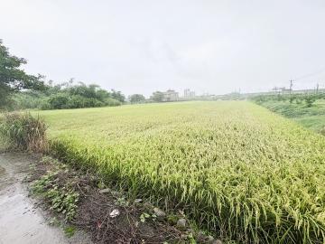 宜蘭購屋小巢 ｜ 礁溪武暖段近高速公路旁足坪農地