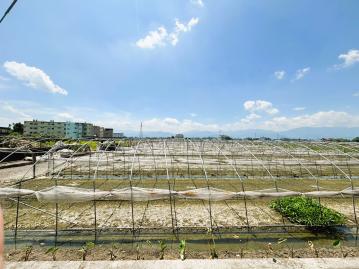 宜蘭買房找小樂 宜蘭高鐵特區新福黃金農地