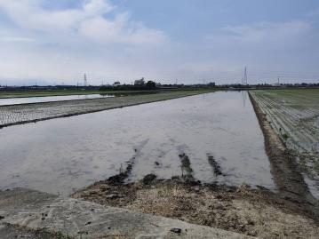 雲林土地仲介 興合發地產 大埤茄苳腳農地