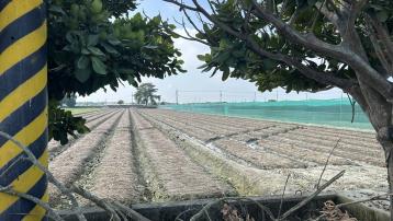 雲林土地仲介 興合發地產 西螺公館3.8分農地