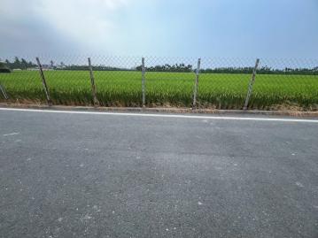 屏東土地推薦 南州5分9臨路農地