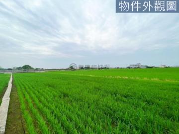 北屯電梯社區-專任苑裡金城武樹風光明媚方正美農地