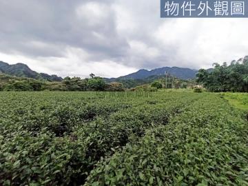 北屯電梯社區-竹山觀光纜車山坪頂超平坦大坪數漂亮農地