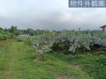 北屯電梯社區-開價就是實登送合法建物合法水井