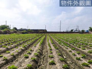 北屯電梯社區-三崁低於行情一般農地｜18噸大貨車可到