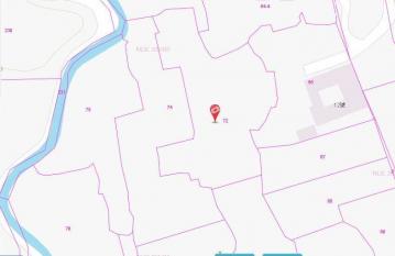 南投土地專家 農401 便宜農地 一般農業區 單坪5000元