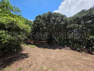 台南房地推薦 柳營果毅綠境/1甲7分美農地・稀有釋出