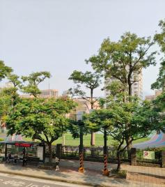 台北房仲小玉 獨家 面芝山國小大土地/採光2樓