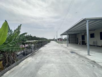 屏東潔出房仲 里港國中理想清幽都計農地