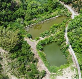 彰化買房賣房 白河景觀水池山坡地