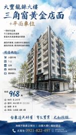 台東透天好屋 大豐三角窗 黃金店面平面車位