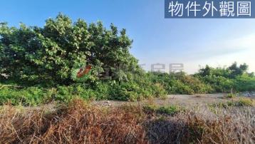 只要265萬！清水大面寬農地，附三七五租約
