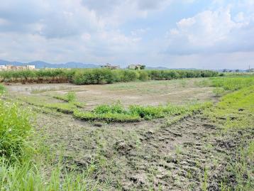 新營房地專家  近東山市區2分便宜農地