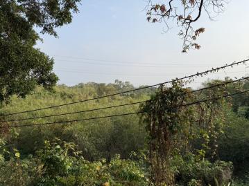 高大特區房仲 關廟近高鐵南一球場旁約3.8分潛力農地