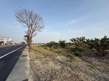 高大特區房仲 湖內臨東方路 803坪大面積農地 可分割