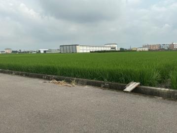 彰化房仲達人 員林房屋買賣 (專任)埔鹽76東西向快速旁美田地
