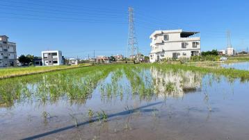 LC196羅東櫻花步道雙面路大面寬足坪美農地