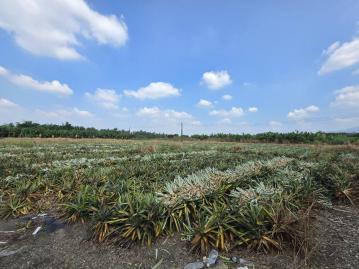 潮州買房賣房推薦 新上架~萬巒近內埔市區無敵山景美農地