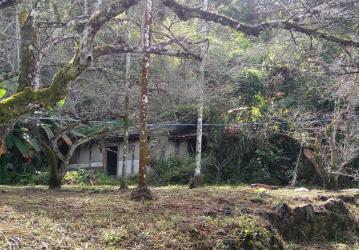 三重蘆洲房產專家 375 南投水里鄉農牧用地