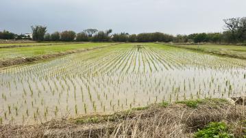中壢房產達人阿龍 新屋後湖靜巷美農地