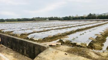 中壢房產達人阿龍 新屋香坡五路方正美農地