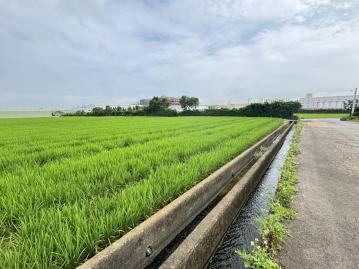 中壢房產達人阿龍 楊梅富岡方正雙面路美農田