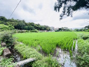 中壢房產達人阿龍 大溪仁和路旁一般農