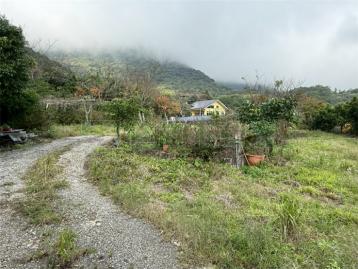 陽明山竹子湖有臨路休閒農地平整好利用竹子湖知名繡球花、海芋勝