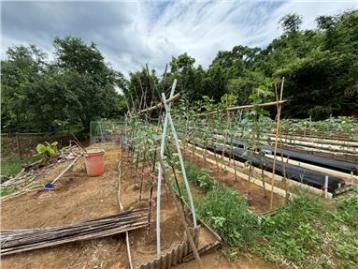 台北房地找阿雄 陽明山正永公路上臨路平坦土地